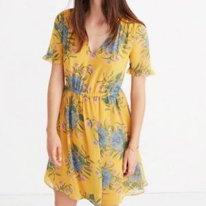 Madewell Sweetgrass Ruffle-Sleeve Dress in Painted
